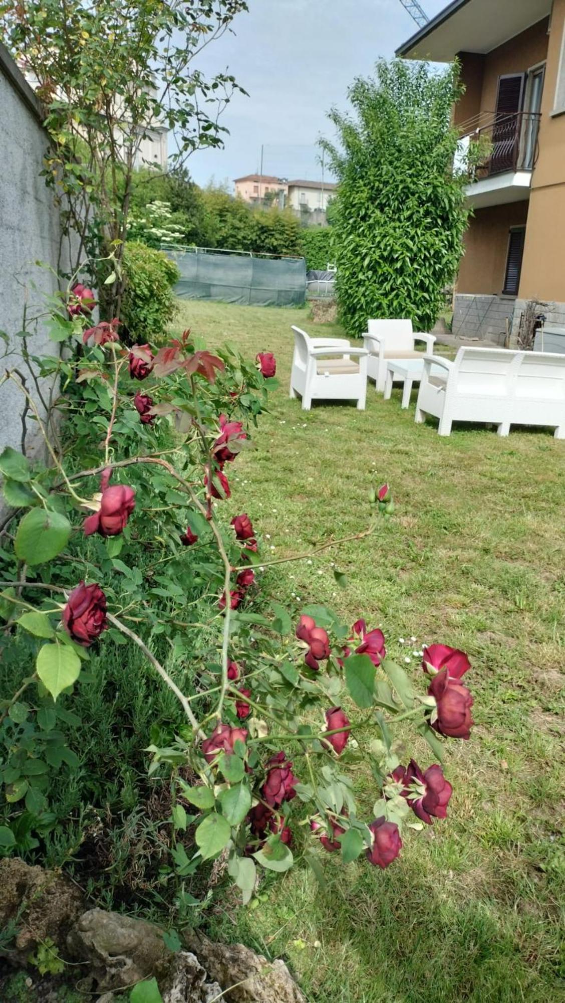 Casa Vacanze Mari, 派拉迪克 外观 照片